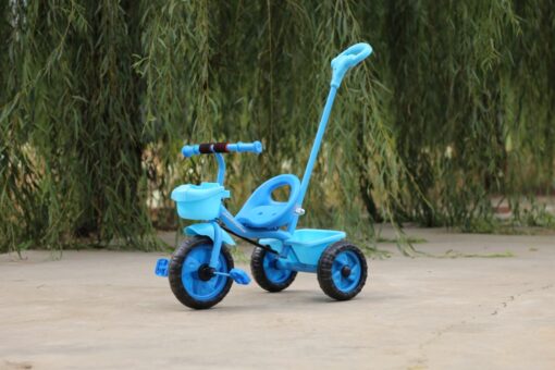 TRICYCLE  CANNE