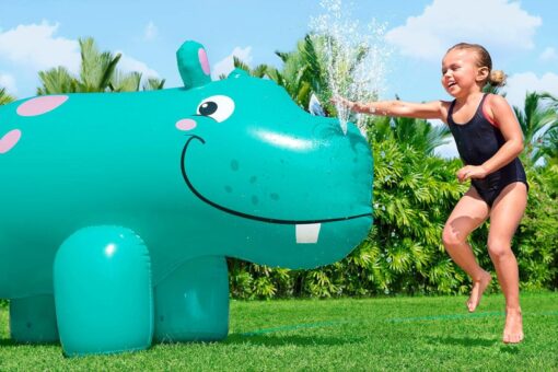 hippo gonflable