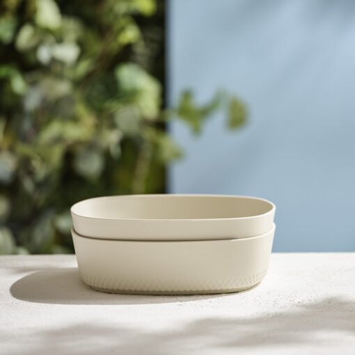 2 ASSIETTES PLATES 21 CMS