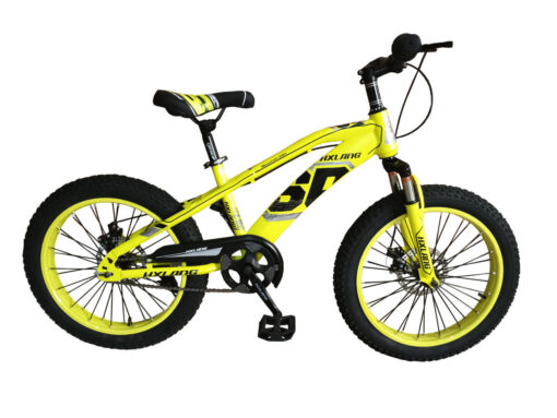 velo enfant 20'