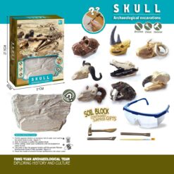 COFFRET ANIMALIER DINO