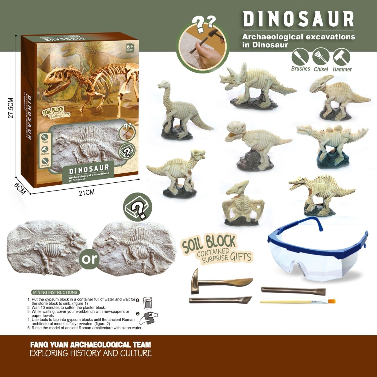 LES SQUELETTES DE DINO