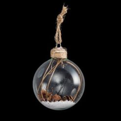 BDN VERRE 60MM INT BCH PDP