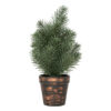 BOX SAPIN MINI DECO 30CM VT BL