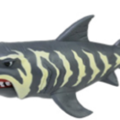 REQUIN + ACCESSOIRES