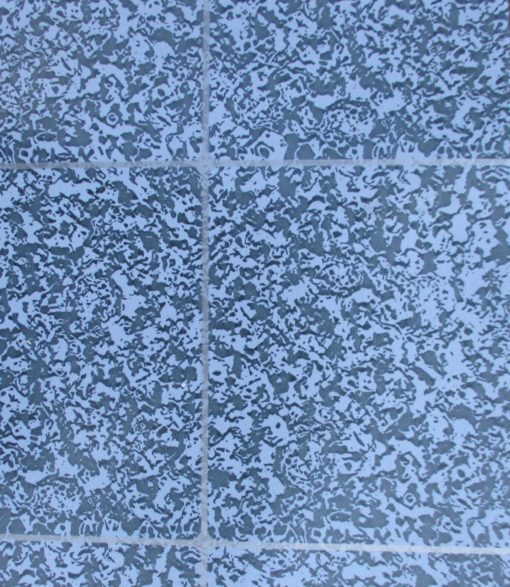 REVÊTEMENT DE SOL 10 m x 2 m
