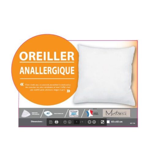 OREILLER ANNALERGIQUE 60 X 60 cm