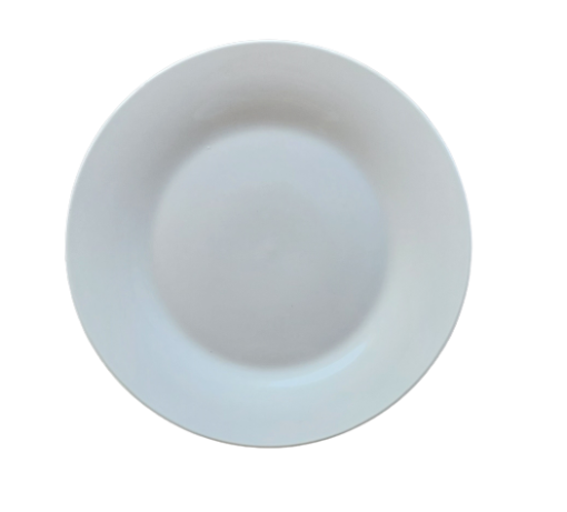 ASSIETTE PLATE 27 cm