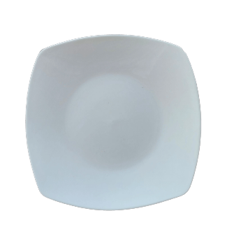 ASSIETTE PLATE CARRÉE 27 cm