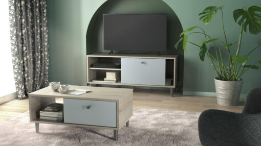 MEUBLE TV 1 PORTE + 1 NICHE