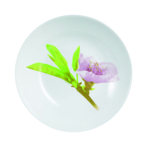 ASSIETTE CREUSE WATER COLOR 20 cm