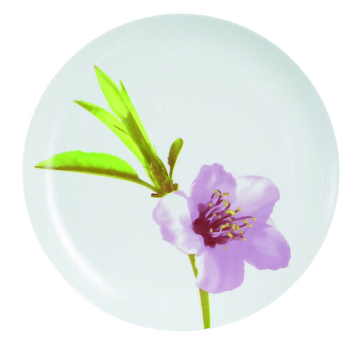 ASSIETTE PLATE WATER COLOR 25 cm