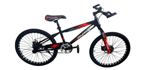 VELO 20 BLEU